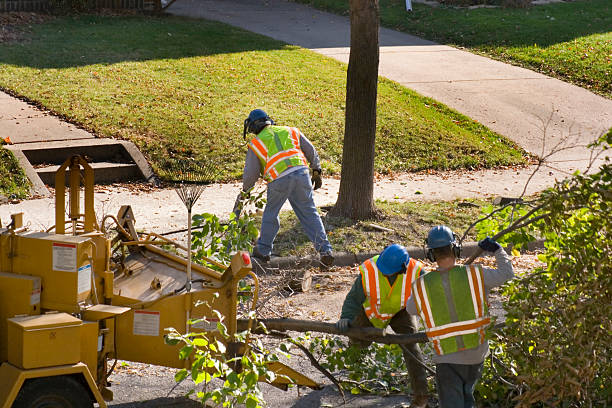 Best Utility Line Clearance  in Millbourne, PA